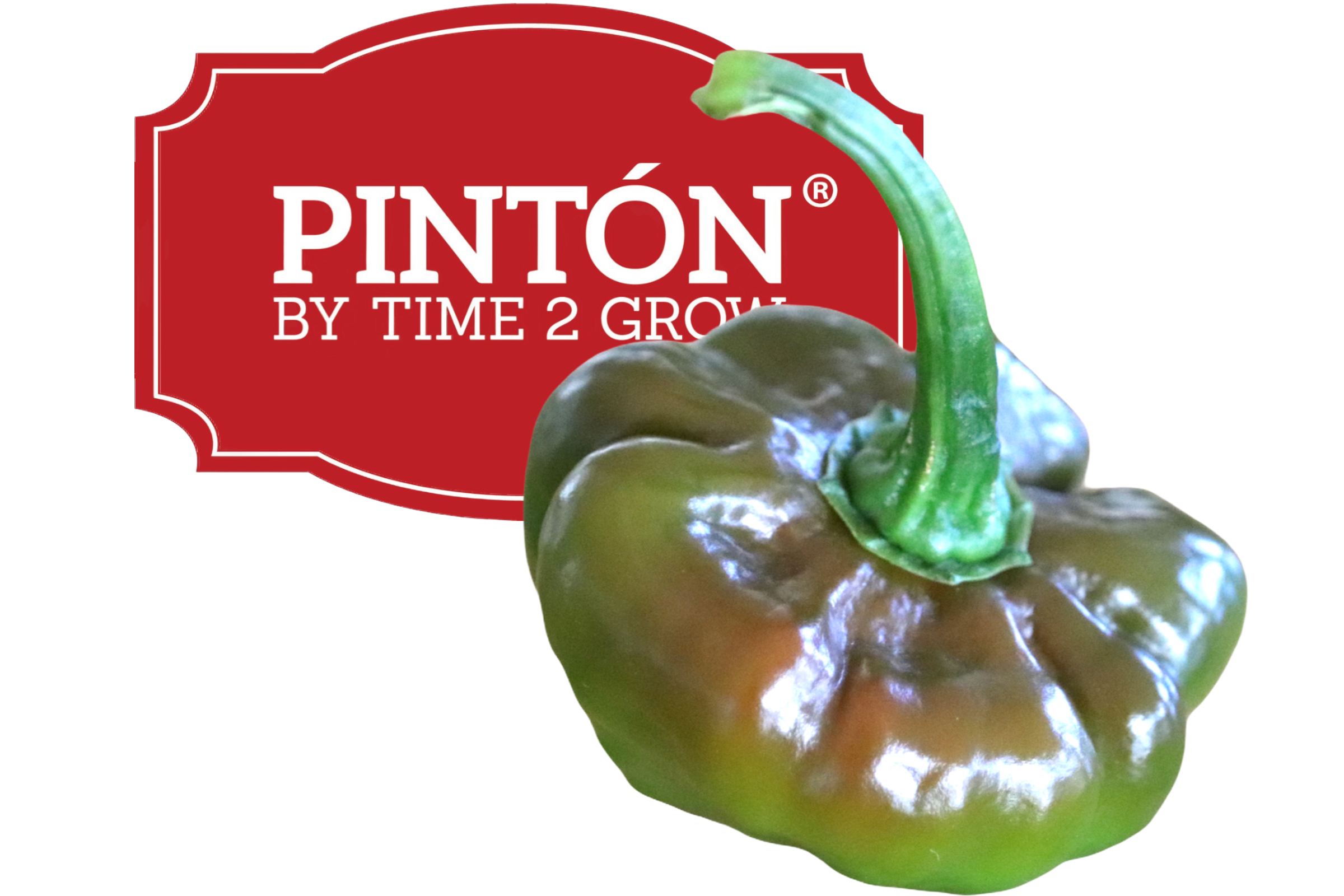 VIP TIME 2 GROW LLC vip-time-2-grow-llc
