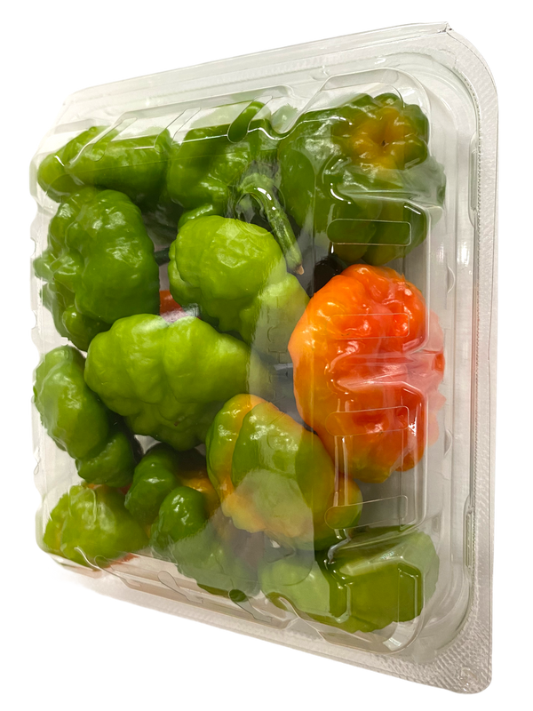 Complete Combo Pack — Ají Cachucha, Sofrito Criollo, Pasta Sauce, Ají en Curtido (pickled ají)