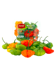 Pack of 2 Fresh Ají Cachucha (Ají Dulce) — Sweet Peppers