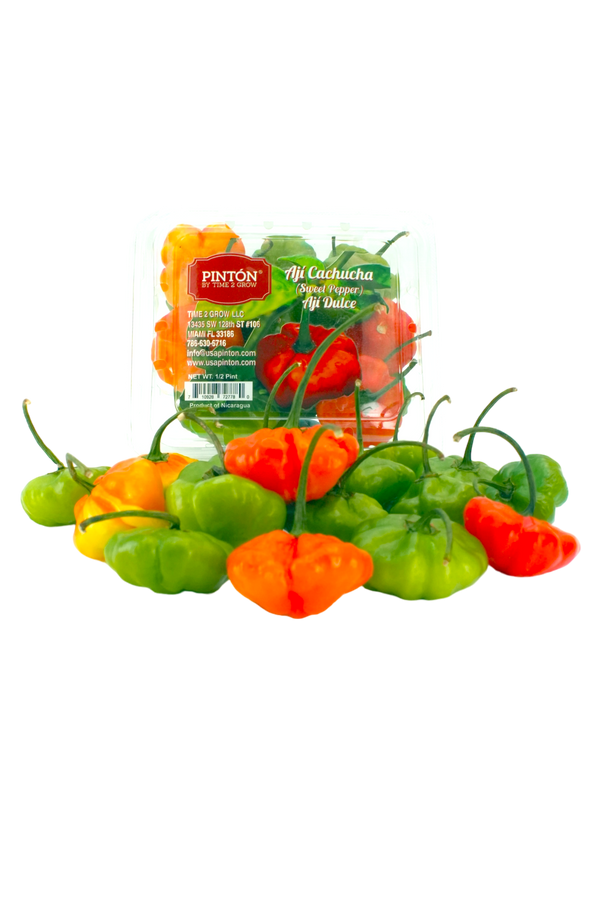 Pack of 2 Fresh Ají Cachucha (Ají Dulce) — Sweet Peppers
