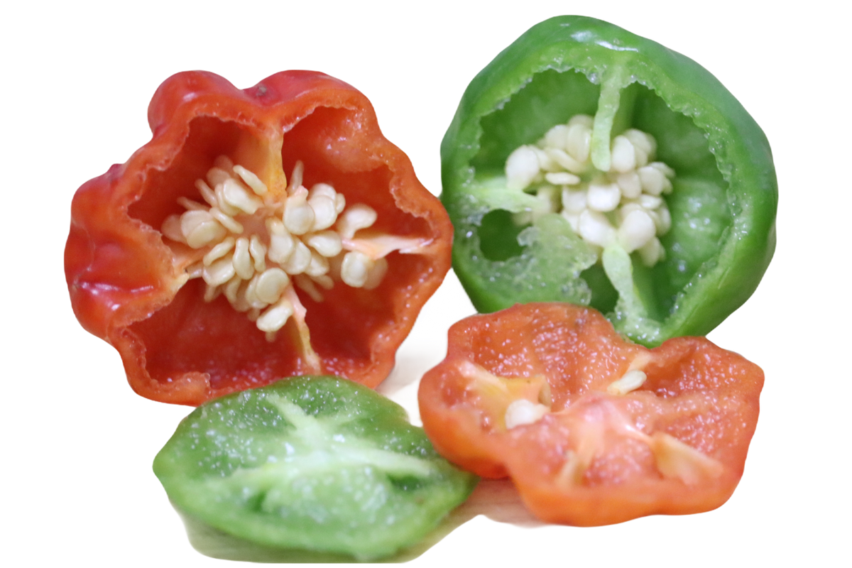 PINTON Pickled Ají Cachucha (Cachucha Pepper) — Natural Pickled Peppers in Glass Jar — Save More