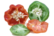 PINTON Pickled Ají Cachucha (Cachucha Pepper) — Natural Pickled Peppers in Glass Jar — Save More