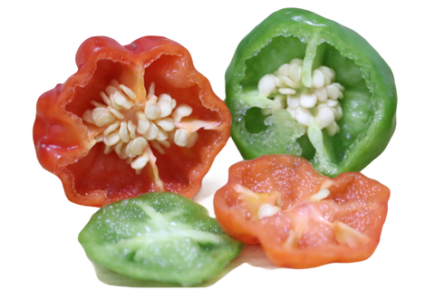 PINTON Encurtido de Ají Cachucha - Natural Pickled Food in Glass Jar (Ahorra más)