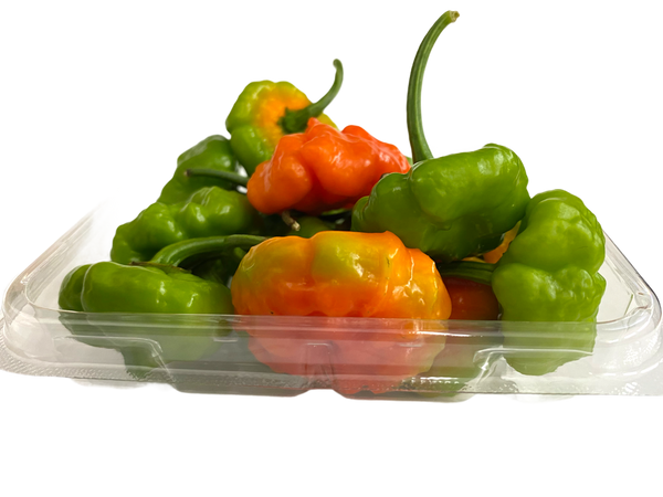 Complete Combo Pack — Ají Cachucha, Sofrito Criollo, Pasta Sauce, Ají en Curtido (pickled ají)